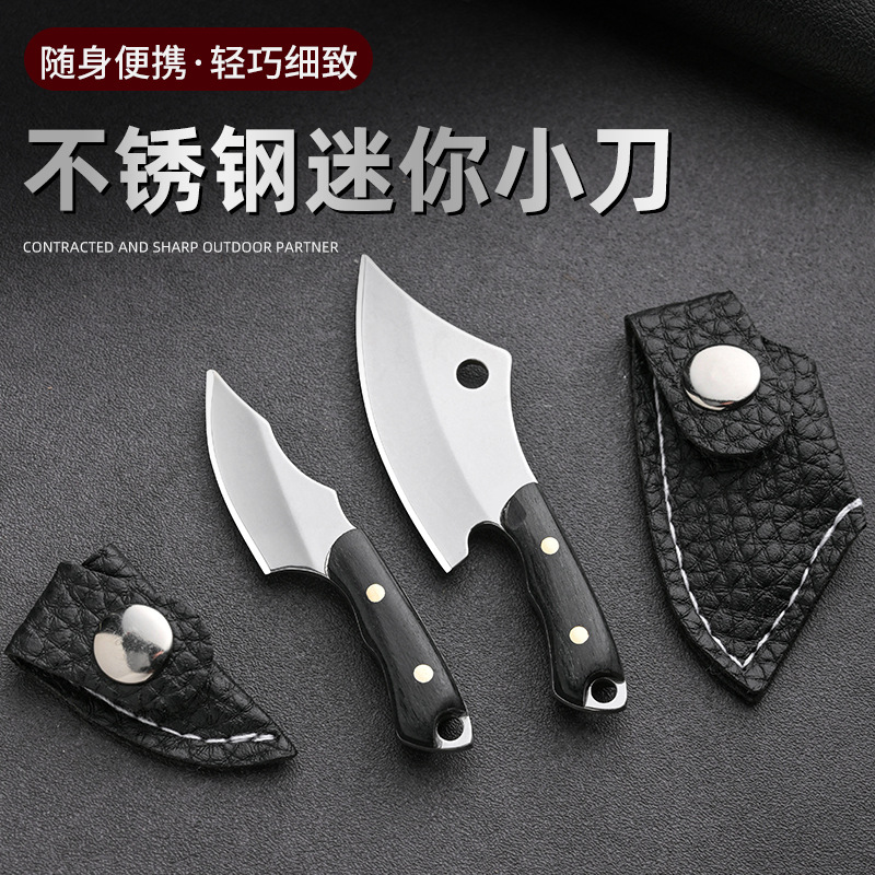 Stainless steel portable mini knife, a perfect tool for opening express deliveries, keychain knife, fruit peel knife, and small fish knife full figure