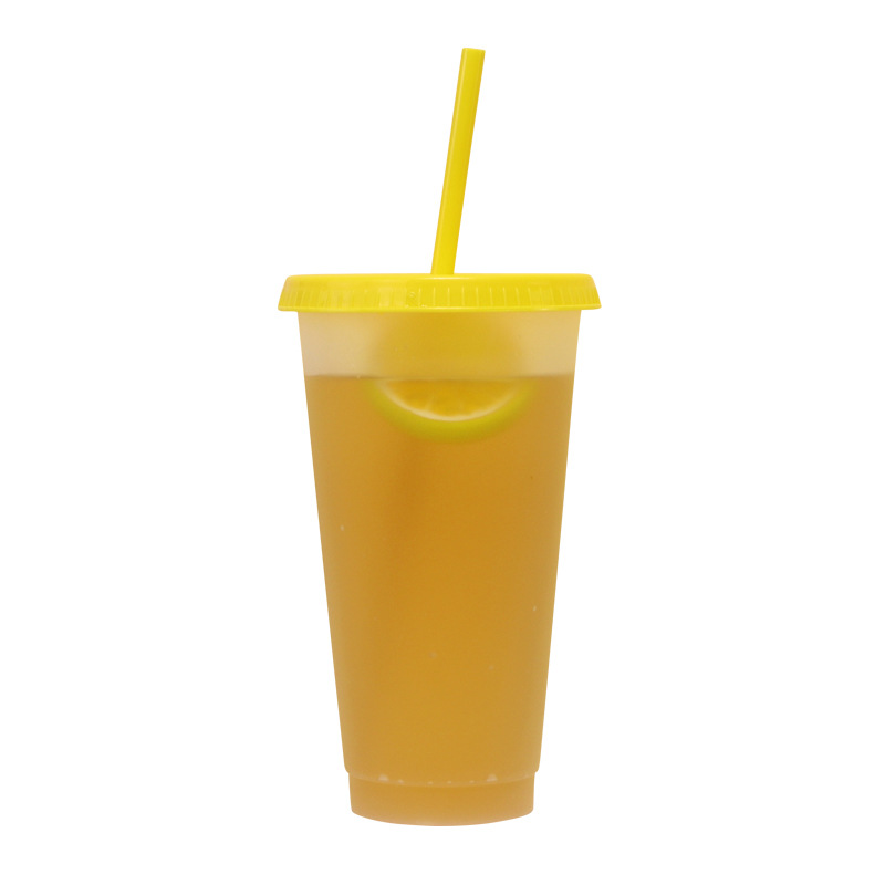 New creative straw water cup, cross-border PP plastic cup, portable heat-insulating outdoor cold drink milk tea cup manufacturer wholesale Item Picture