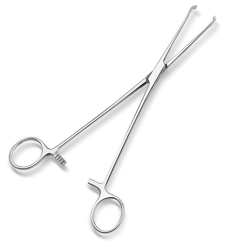 Medical stainless steel hemostatic forceps, cervical forceps, 25cm straight head, 2x3 tooth sampling oval forceps, gynecological surgical instruments Specification drawing