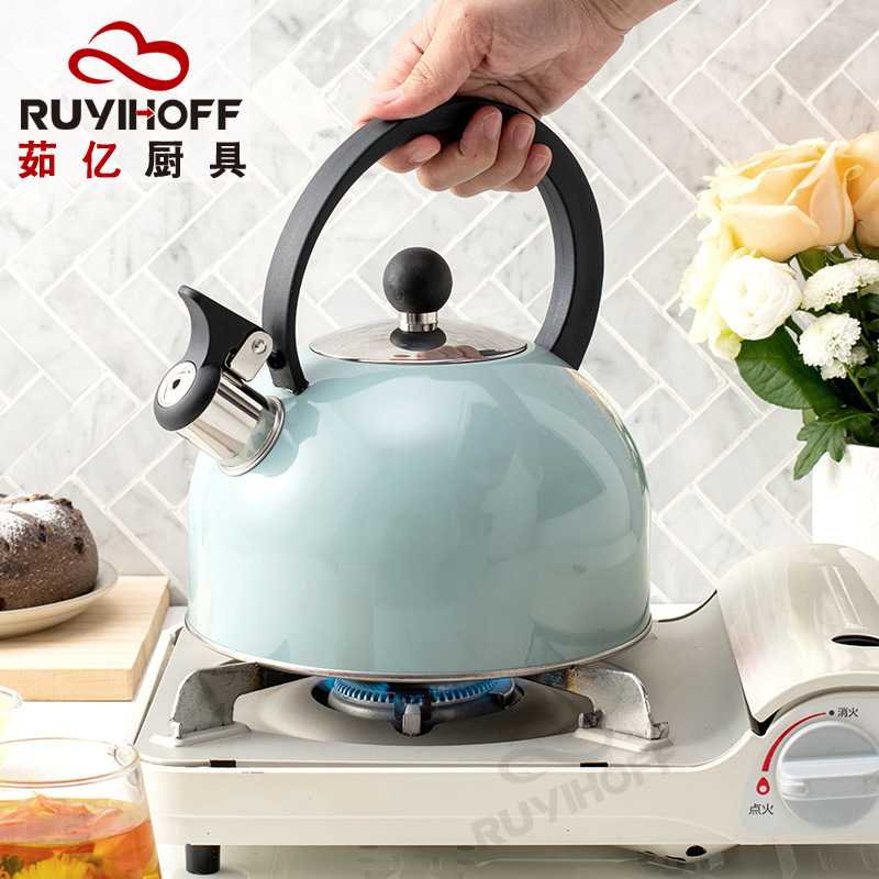 European and American kitchenware flat-bottomed sounding water kettle, 2.5L Amazon sky blue spray-painted sounding water kettle for boiling tea and coffee details Picture