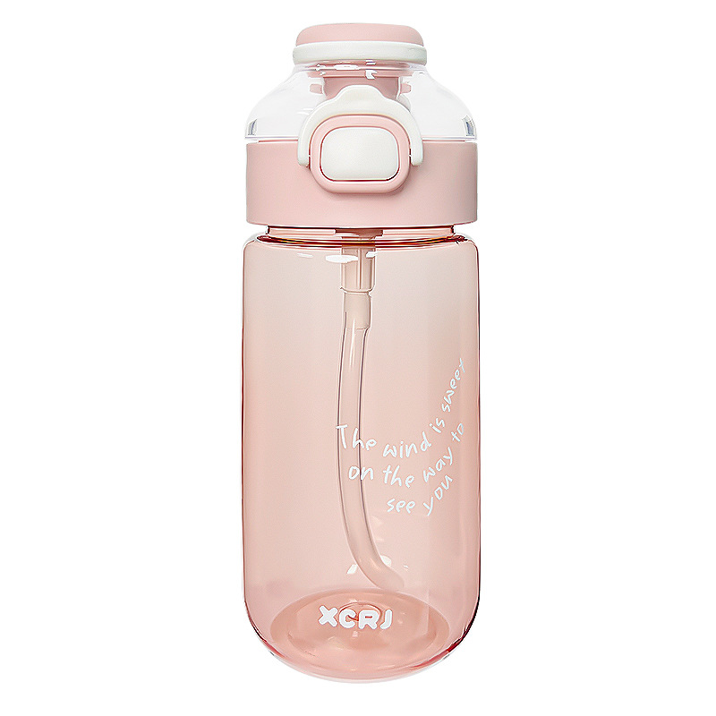 Simple ins straw cup, cute cartoon portable water cup for girls, summer hand-held artistic plastic cup for students to go to school Item Picture