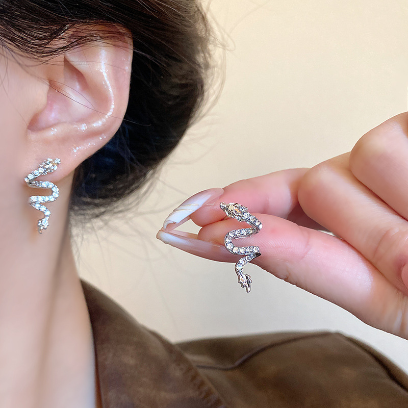 "Born in the Year of the Dragon, Soaring Earrings for Women, 2024 New unique design, high-end and exquisite Zircon earrings wholesale. details Picture
