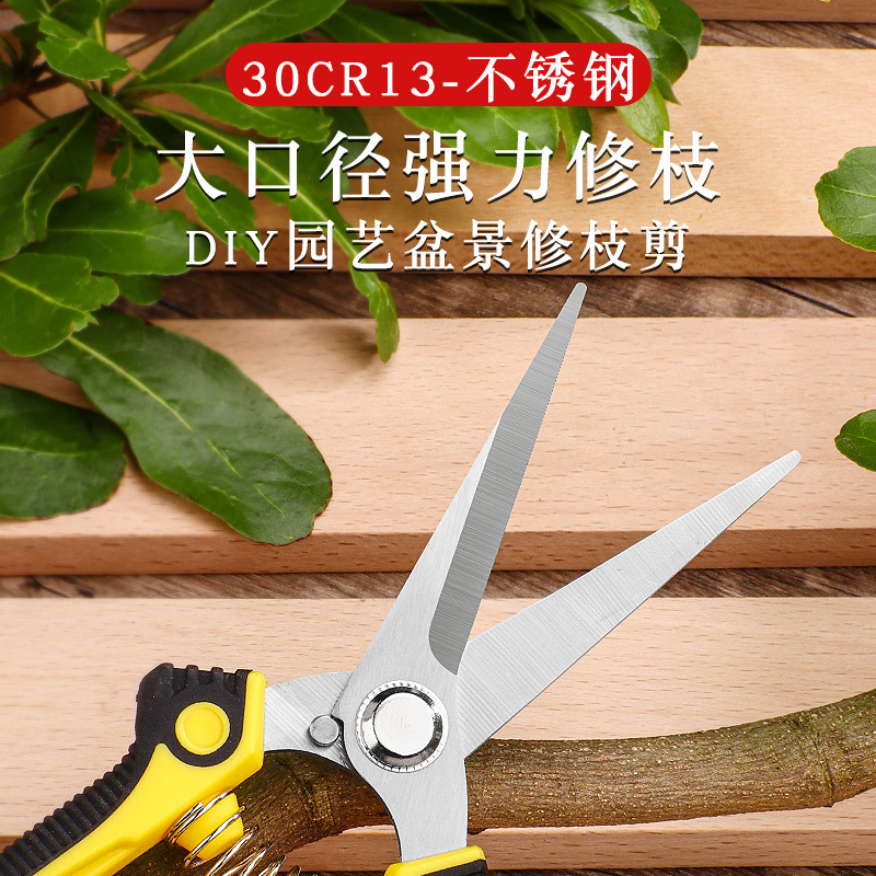 Fruit tree scissors, pruning scissors, branch trimming scissors, powerful flower pruning scissors, garden scissors, flower and garden fruit picking scissors Application Scenario