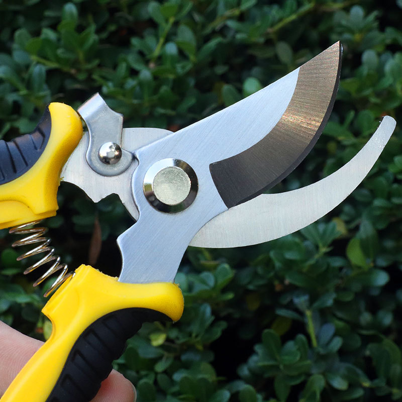 Wholesale of garden fruit branch shears, multi-functional branch shears, garden shears, anti-slip and labor-saving manual pruning shears from the manufacturer in stock Specification drawing