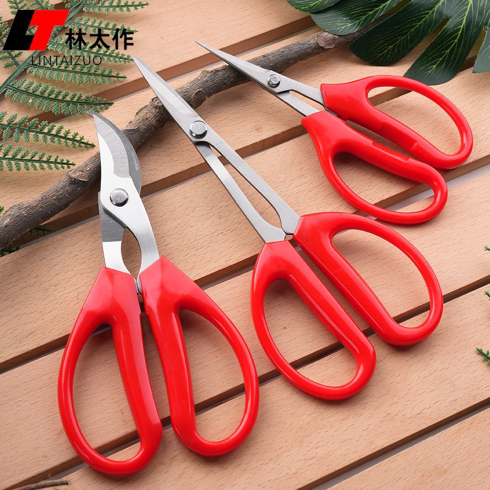 Stainless steel grape and strawberry fruit pickers, anti-slip garden vegetable and fruit potted plant leaf scissors, garden fruit tree grafting scissors full figure