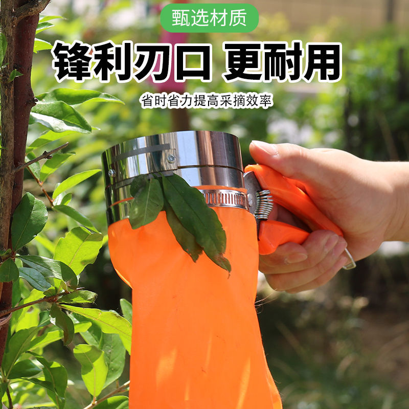 A new type of manual machine for picking Sichuan pepper, which saves effort and improves efficiency. It is a tool for cutting Sichuan pepper and wolfberries details Picture