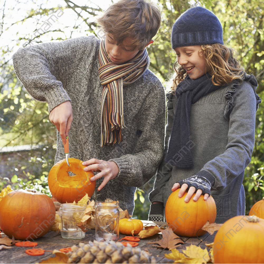 12-piece pumpkin carving tool set: Amazon Bestseller Pumpkin Knife Halloween Pumpkin Carving Set Pumpkin details Picture