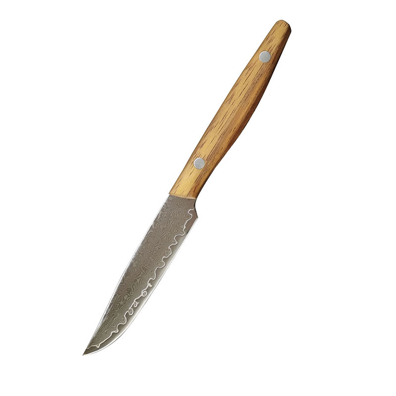 67-layer forged Damascus steel steak knife, sharp fruit knife, hand-held meat knife, boning knife, household divider knife Application Scenario