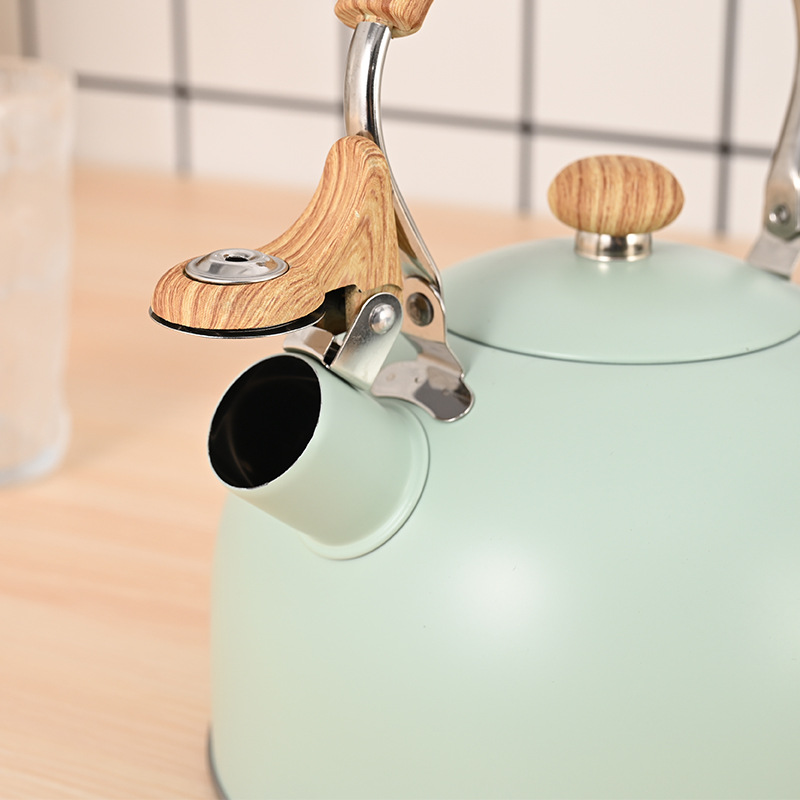 2.5-liter cross-border new product induction cooker, universal stainless steel kettle for coal and gas, off-white stainless steel kettle with a whistle details Picture