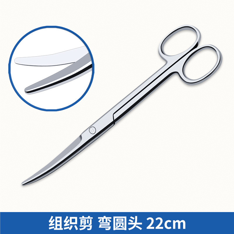 Zhuo Youyue Medical surgical scissors, round head stainless steel tissue scissors, blunt head curved scissors, nurse's pocket dental suture removal scissors undefined