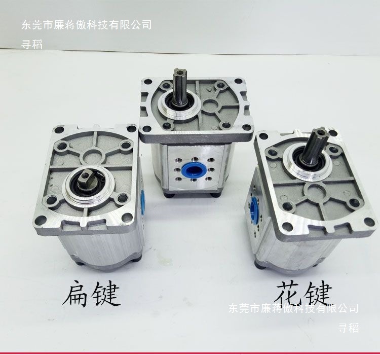 CBN - F304/306/310/314/316/320/325 hydraulic gear pump gear pump spline flat key Application Scenario