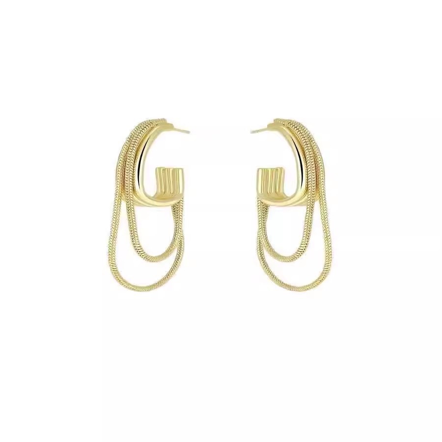 Light luxury and high-end double-layer chain tassel earrings, a niche design for women, versatile earrings, fashionable and unique earrings Item Picture