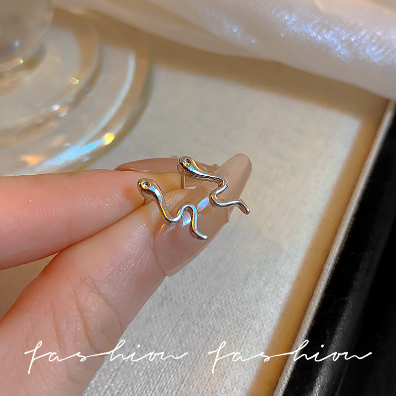 Two mini snake earrings in a cold and cool style, with a cute and niche design. The zodiac year stud earrings are simple and stylish details Picture