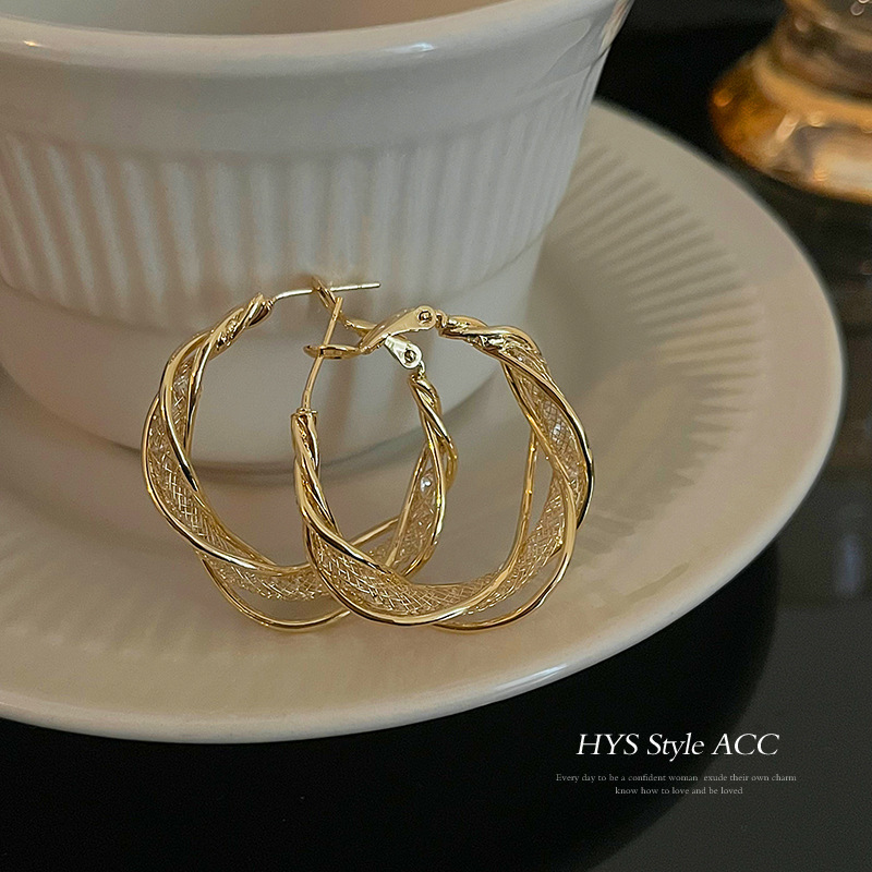 Twisted hollowed-out earrings for women, with a high-end design sense, are fashionable and versatile. Personalized ear rings and stud earrings, light luxury and niche style details Picture