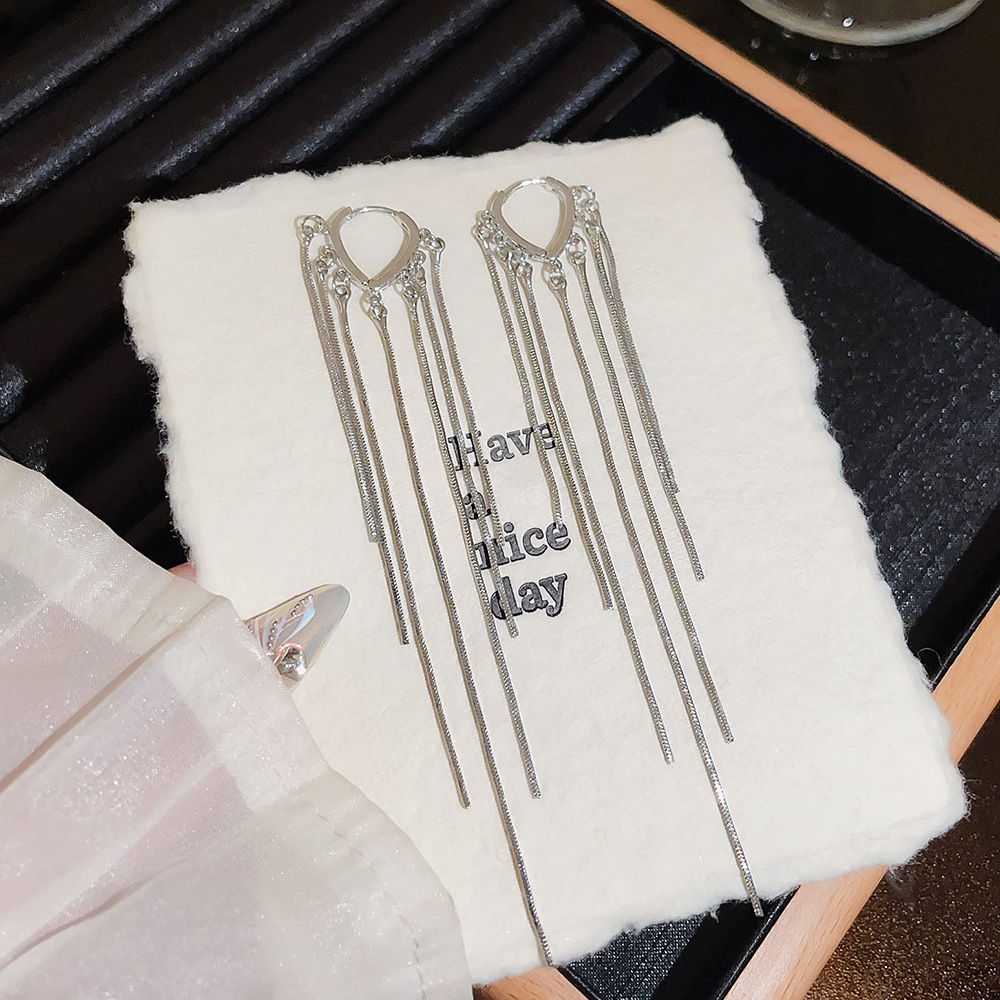 925 Silver Needle Exaggerated heart-shaped earrings, a light luxury and high-end sense, fashionable and versatile earrings, heart-shaped ear buckles, tassel earrings for women details Picture