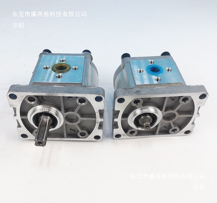 CBN - F304/306/310/314/316/320/325 hydraulic gear pump gear pump spline flat key Item Picture