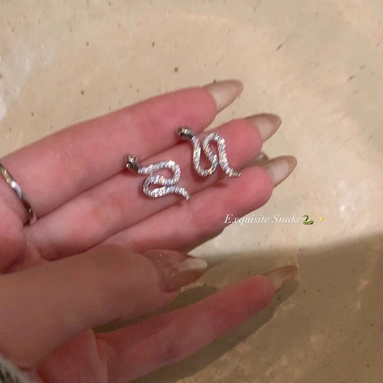 Limited edition snake-shaped stud earrings for the Year of the Snake, unique and distinctive for women, light luxury, exquisite and high-end design earrings Specification drawing