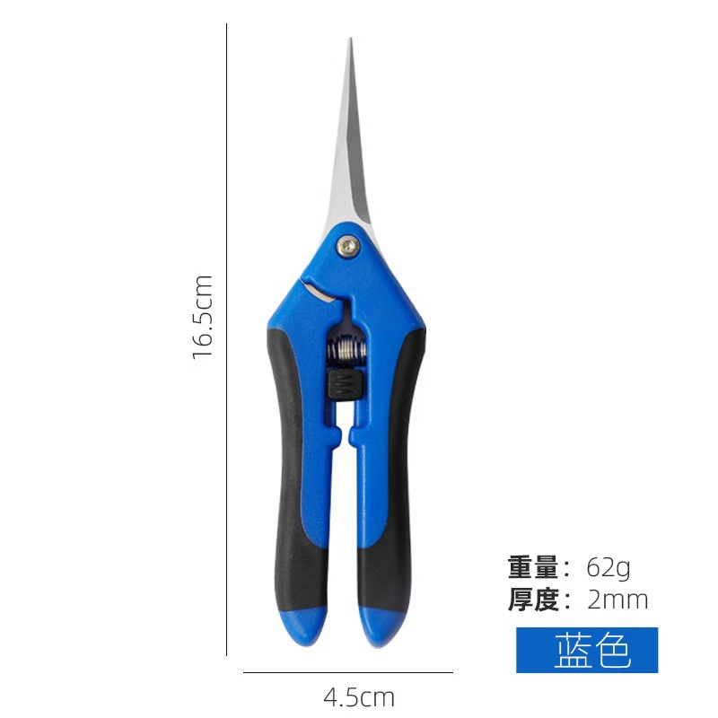 Portable garden pruning scissors, fruit picking scissors, rare fruit pruning scissors, grape pruning scissors, flower pruning scissors, fruit picking scissors, floral art scissors Specification drawing