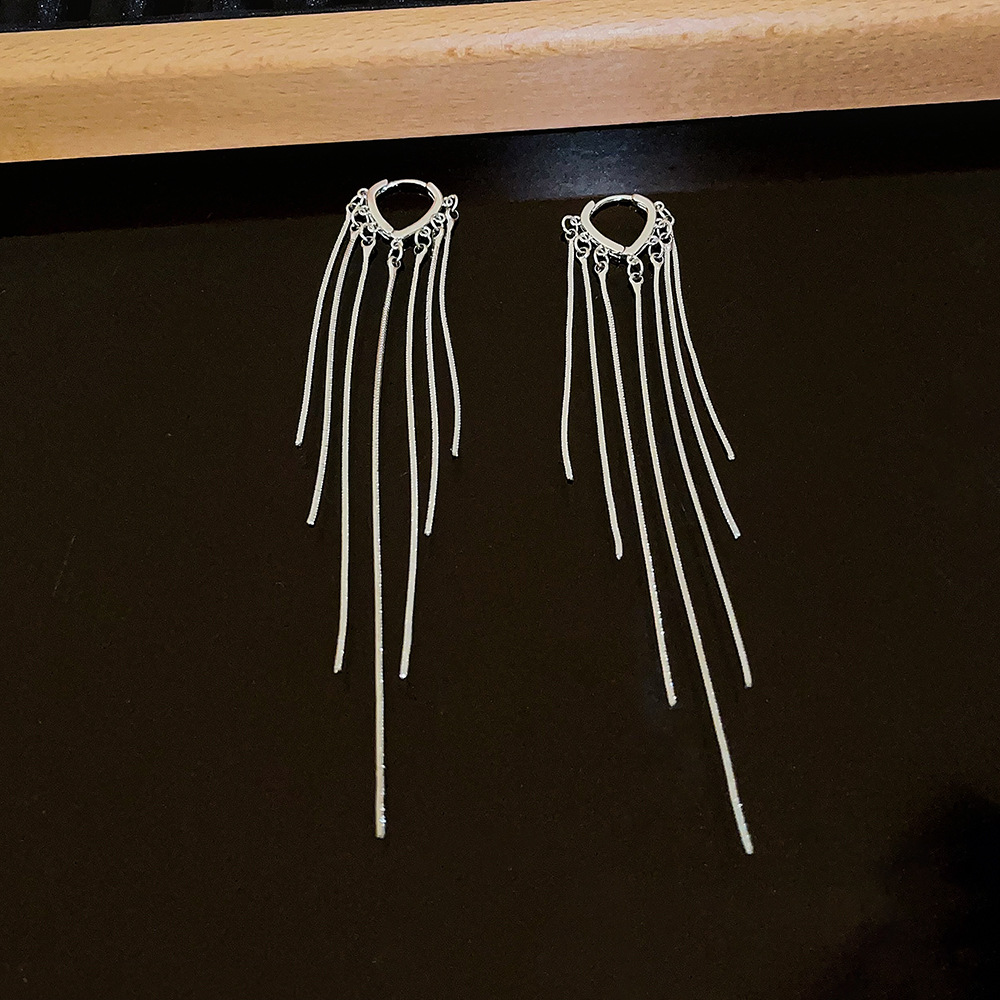 925 Silver Needle Exaggerated heart-shaped earrings, a light luxury and high-end sense, fashionable and versatile earrings, heart-shaped ear buckles, tassel earrings for women full figure