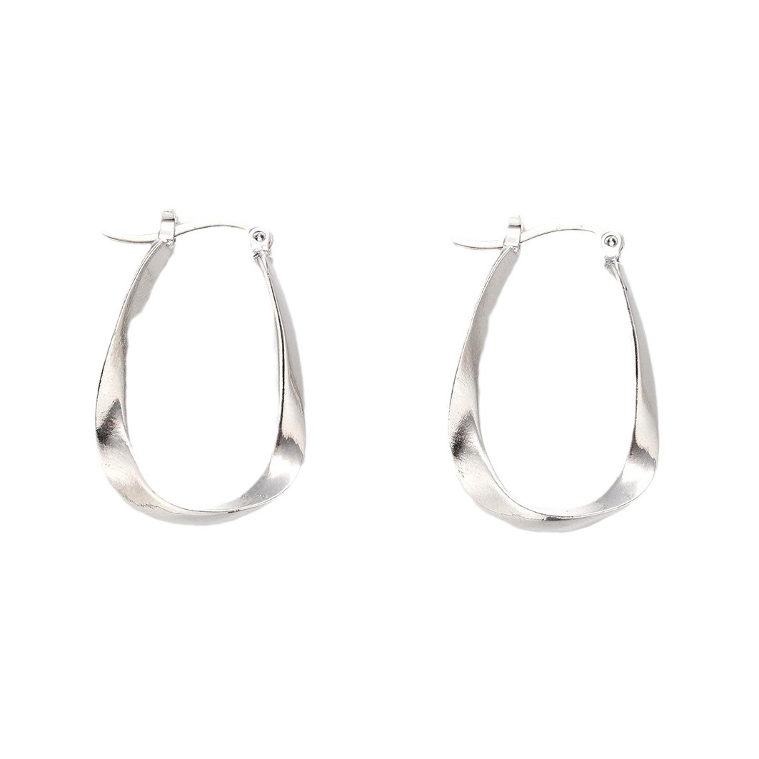 Wholesale of new cross-border Mobius fashion trend large earrings, niche and elegant ins simple women's twisted ear buckles Item Picture