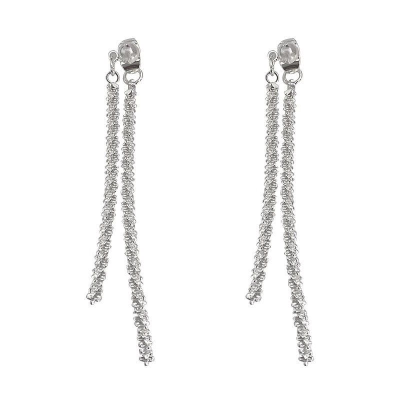 925 Silver Needle Silver fine sparkling tassel earrings, long stud earrings, women's niche design sense, high-end unique light luxury earrings Item Picture
