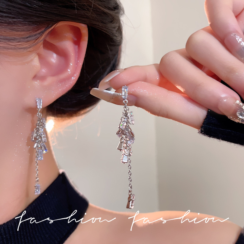 Silver needle, light luxury, elegant, versatile for socialite, niche design, high-end feel, zircon tassel earrings, new 2025 women's earrings full figure