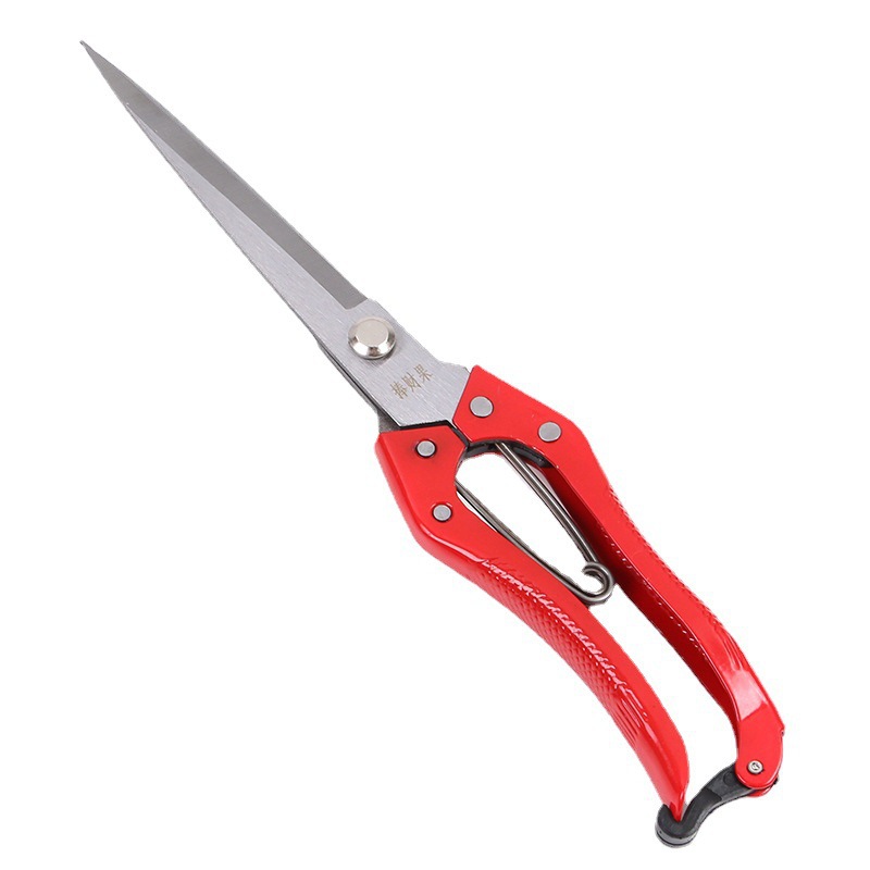 The Pengcaiguo brand manual wool shears, approximately 31mm in diameter, with a lacquered handle and a leather case handle, can be made into box-packed multi-purpose wool shears Specification drawing