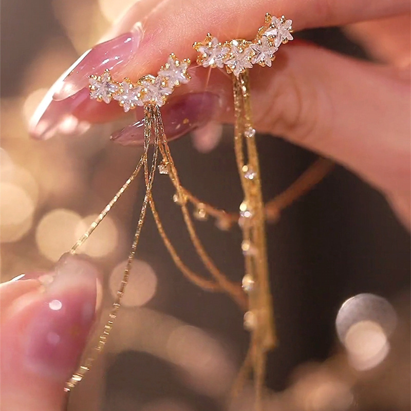 925 Silver needle micro-inlaid zircon long tassel earrings, a two-wear design for women, a versatile and trendy earring accessory full figure