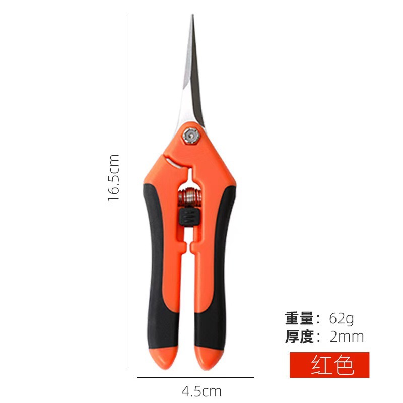 Portable garden pruning scissors, fruit picking scissors, rare fruit pruning scissors, grape pruning scissors, flower pruning scissors, fruit picking scissors, floral art scissors full figure