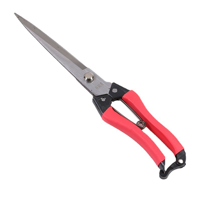 The Pengcaiguo brand manual wool shears, approximately 31mm in diameter, with a lacquered handle and a leather case handle, can be made into box-packed multi-purpose wool shears Application Scenario