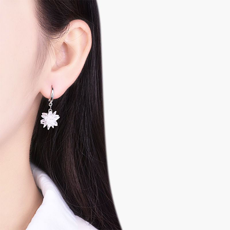 Ear hooks, ice flower ear hooks, women's ear studs, versatile earrings, elegant beaded crystal earrings, Korean-style long tassels Application Scenario
