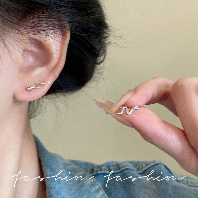Two mini snake earrings in a cold and cool style, with a cute and niche design. The zodiac year stud earrings are simple and stylish full figure