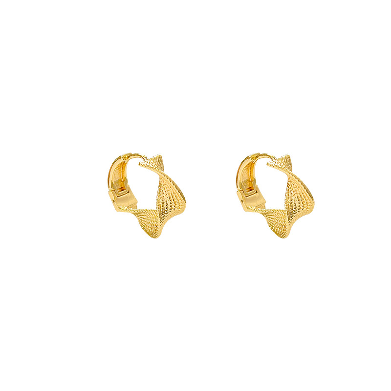 Simple and niche geometric circle twist texture earrings, metal texture ear buckles, versatile and retro earrings for women on Instagram Item Picture