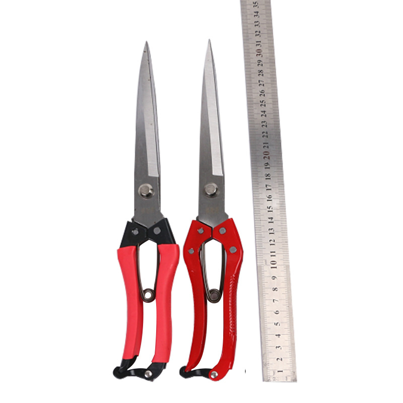 The Pengcaiguo brand manual wool shears, approximately 31mm in diameter, with a lacquered handle and a leather case handle, can be made into box-packed multi-purpose wool shears details Picture