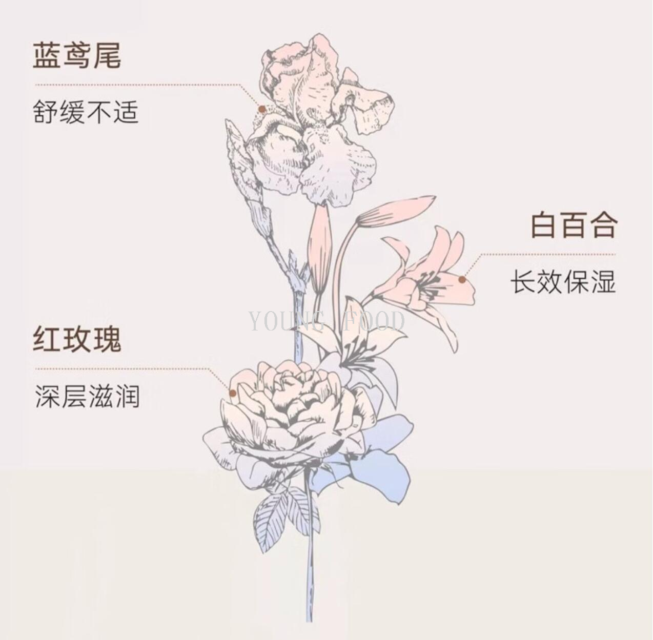 包邮批发！化妆品暖乐蓓贝婴幼儿花蕾柔润面霜 限量版【50g+10g】详情5