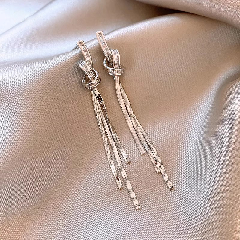 Unique long tassel earrings for women's autumn and winter, a light luxury and high-end silver needle earrings, a new bestseller in 2025 full figure