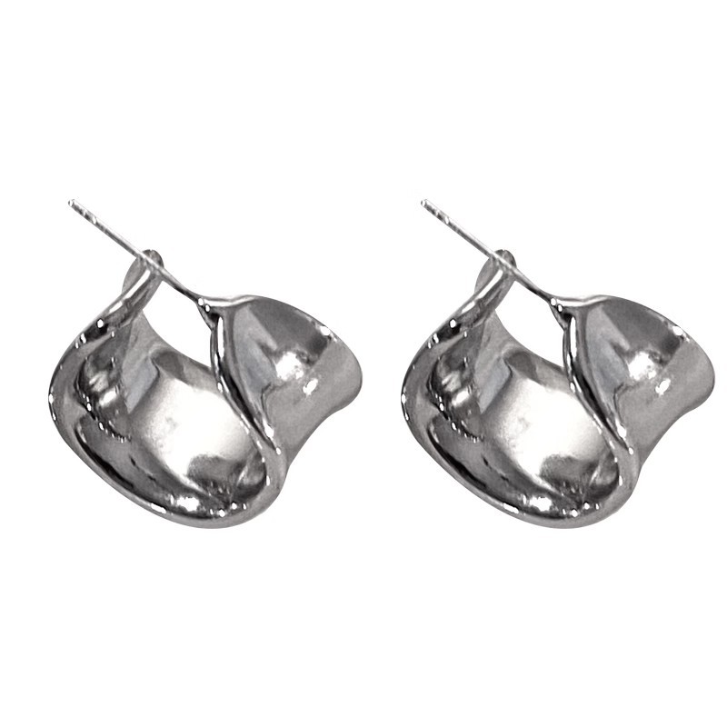 Commuting C-shaped wide face stud earrings for women, a niche design with a high-end feel, autumn and winter earrings, a new trendy metal ear accessory from 2025 Item Picture