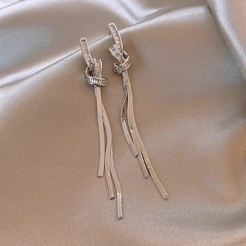 Unique long tassel earrings for women's autumn and winter, a light luxury and high-end silver needle earrings, a new bestseller in 2025 Specification drawing