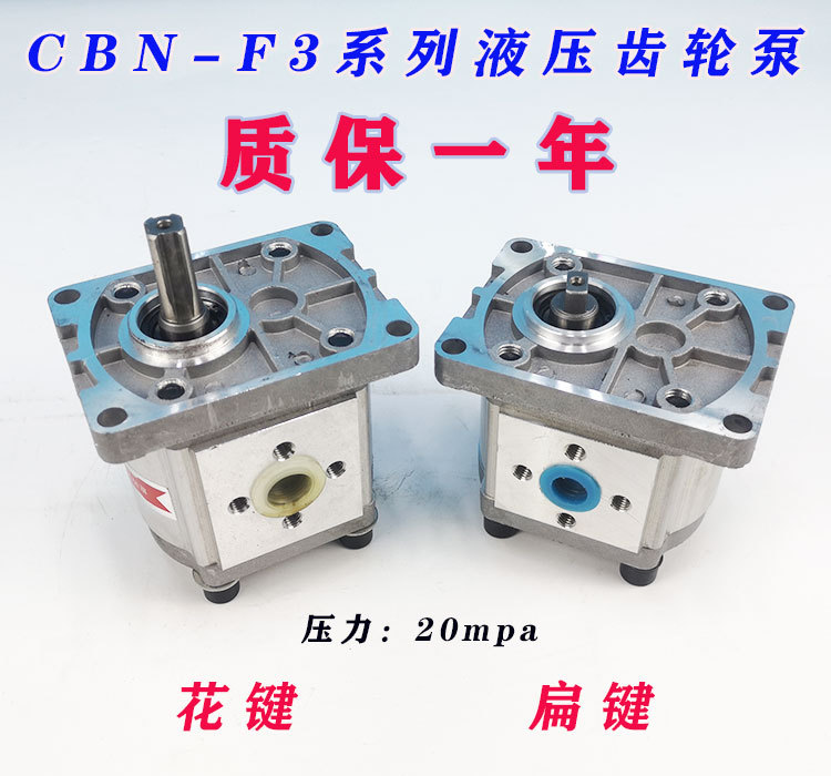 CBN - F304/306/310/314/316/320/325 hydraulic gear pump gear pump spline flat key full figure