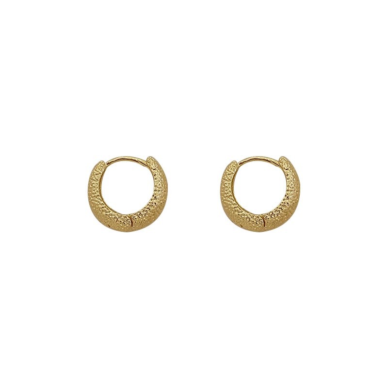 Metal cold frosted earring earrings, a new 2025 bestseller with a high-end feel, unique and stylish earrings for women Item Picture