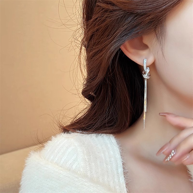 Unique long tassel earrings for women's autumn and winter, a light luxury and high-end silver needle earrings, a new bestseller in 2025 details Picture