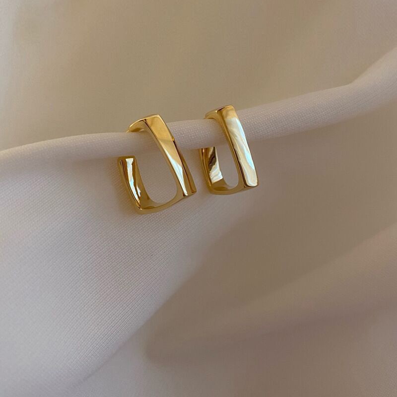 Wholesale of new fashionable and trendy geometric metal earrings from Europe and America that are popular among Internet celebrities full figure