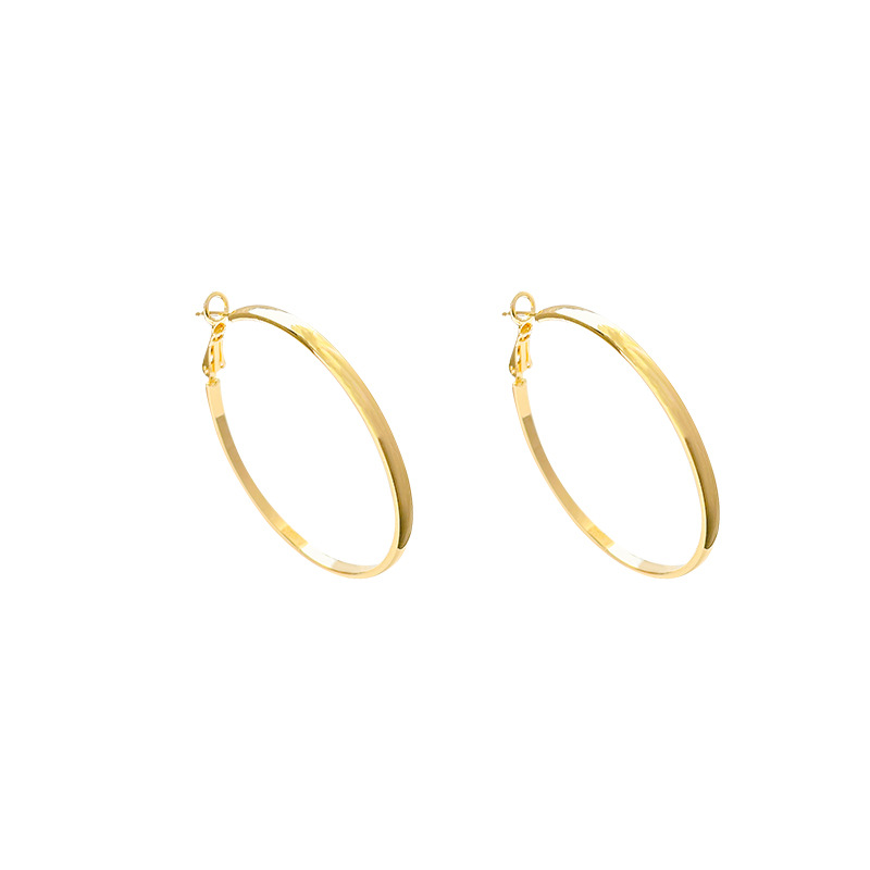 High-end design sense, fashionable circular stud earrings, individual temperament, oval earrings, niche silver needle earrings, 2025 new trend Item Picture