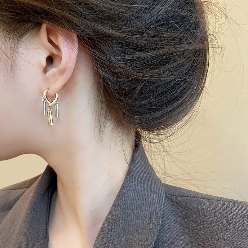 European and American cold style cylindrical tassel ear buckles, women's niche, simple and elegant, internet-famous earrings, high-end new earrings Application Scenario