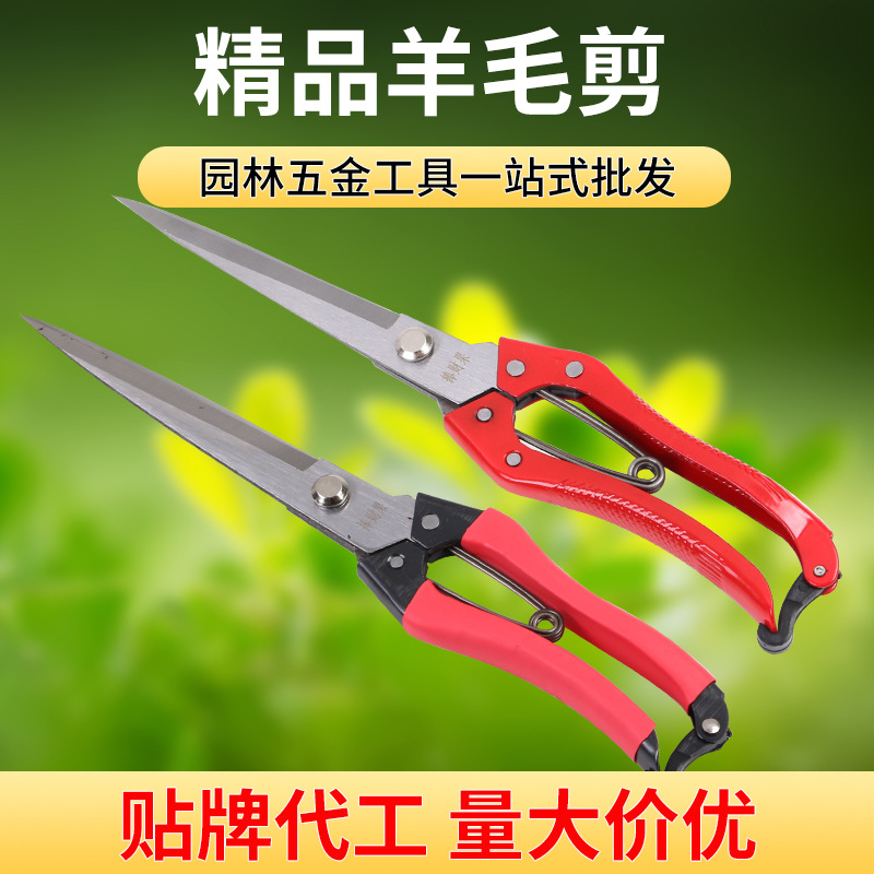 The Pengcaiguo brand manual wool shears, approximately 31mm in diameter, with a lacquered handle and a leather case handle, can be made into box-packed multi-purpose wool shears full figure