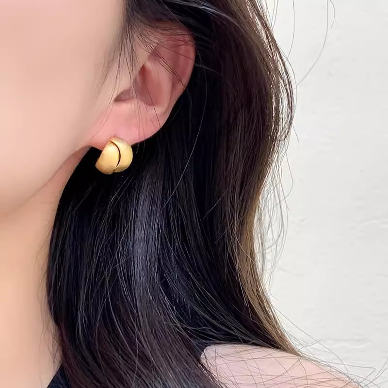 Silver brushed metal interlaced high-end earrings for women 2024, a light luxury and niche design earring accessory details Picture