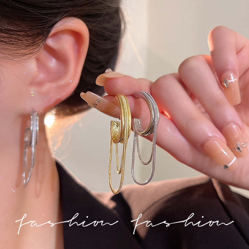 Light luxury and high-end fringed earrings, women's niche design, elegant stud earrings, 2025 new trendy, exaggerated and personalized earrings full figure