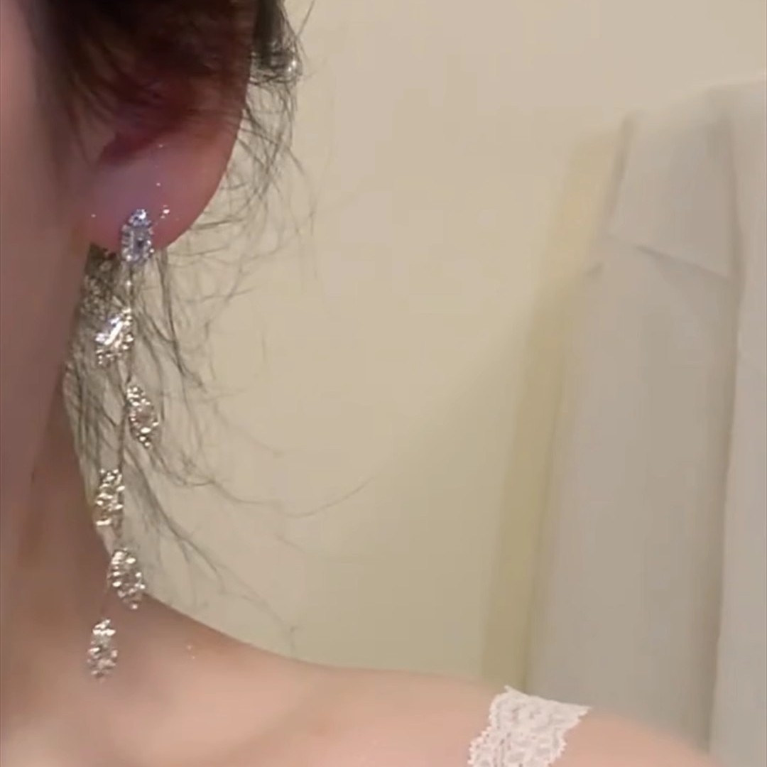 Korean-style sparkling tassel long zircon leaf earrings for women, exquisite and niche design, high-end summer new burst earrings Application Scenario