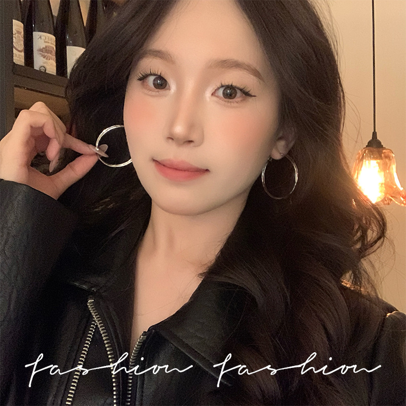 Simple and hot girl ear rings, women's light luxury niche design, high-end cold style ear studs, plain ring earrings, commuting earrings full figure