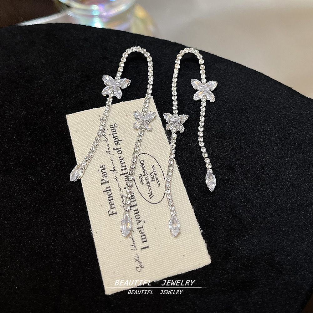 925 Silver Needle delicate and exquisite butterfly earrings, versatile for women, long zircon stud earrings, elegant and stylish tassel earrings Application Scenario